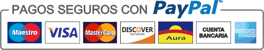 pago_seguro_paypal-large